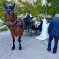 Img 20220702 112636