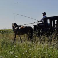 Némésis et le coupé de ville