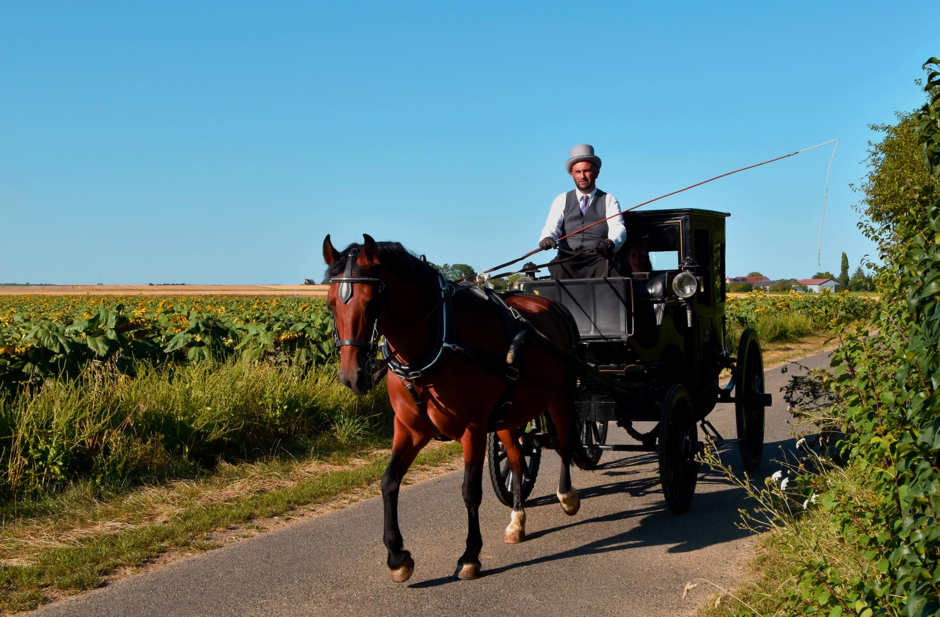 Némésis et le coupé de ville