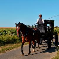 Némésis et le coupé de ville