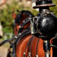 Némésis et le coupé de ville