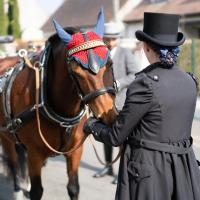 Némésis et sa groom