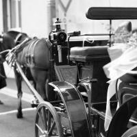 Némésis et la Victoria