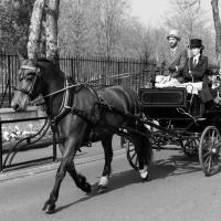 Némésis et la Victoria