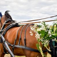 Némésis et la Victoria