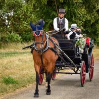 Némésis et la Victoria