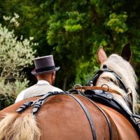 Brillante et son cocher