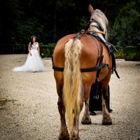 Brillante et photo de la mariée