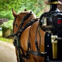 Brillante et la Victoria