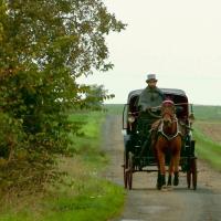 Léo et la Victoria, capote ouverte