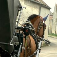 Léo et la Victoria capote ouverte
