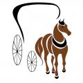 Logo couleur taille moyenne